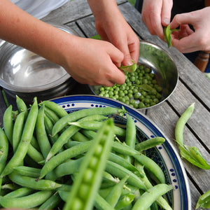GARDEN WORKSHOP Spring in the Kitchen Garden