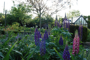 Garden and Studio Visit