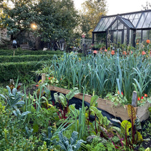 Load image into Gallery viewer, GARDEN WORKSHOP Spring in the Kitchen Garden