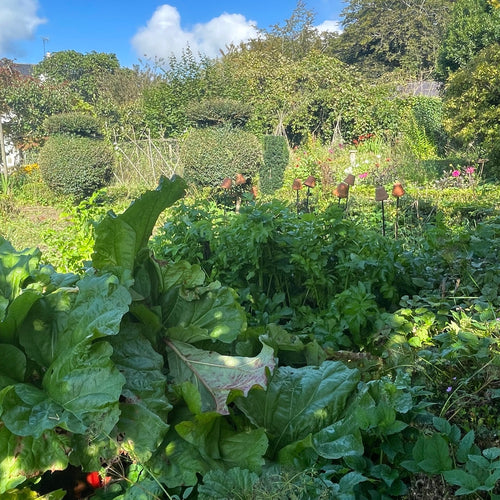 GARDEN WORKSHOP Spring in the Kitchen Garden