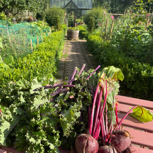 GARDEN WORKSHOP Spring in the Kitchen Garden
