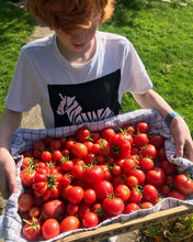 Load image into Gallery viewer, GARDEN WORKSHOP **HOW TO GROW WHAT YOU LOVE TO EAT**