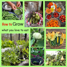 Load image into Gallery viewer, GARDEN WORKSHOP **HOW TO GROW WHAT YOU LOVE TO EAT**