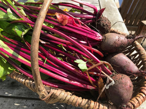GARDEN WORKSHOP **HOW TO GROW WHAT YOU LOVE TO EAT**