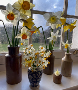 GARDEN WORKSHOP *How to create a winter and early spring garden*