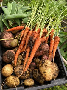 GARDEN WORKSHOP **HOW TO GROW WHAT YOU LOVE TO EAT**