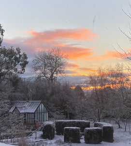 GARDEN WORKSHOP *How to create a winter and early spring garden*